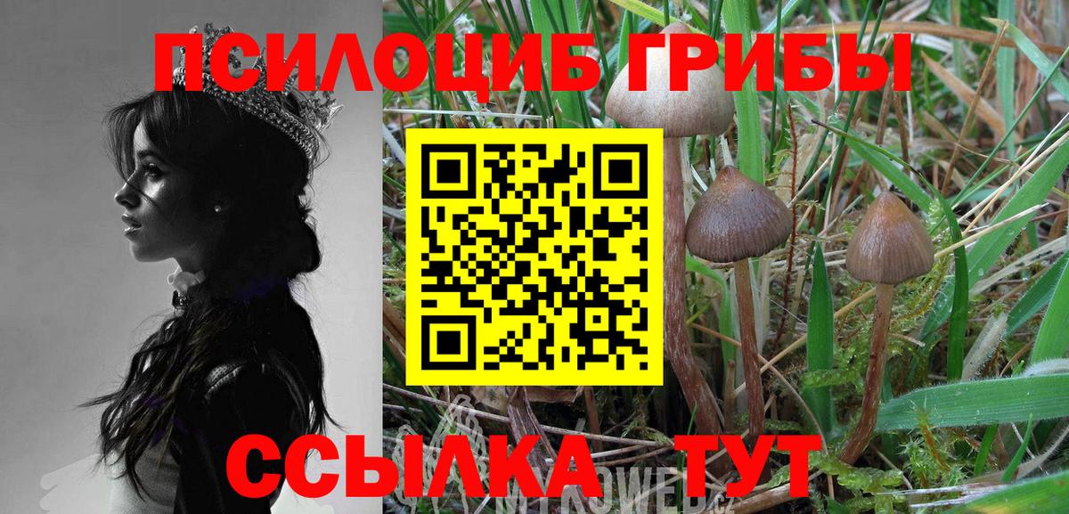 Псилоцибиновые грибы GOLDEN TEACHER Клинцы