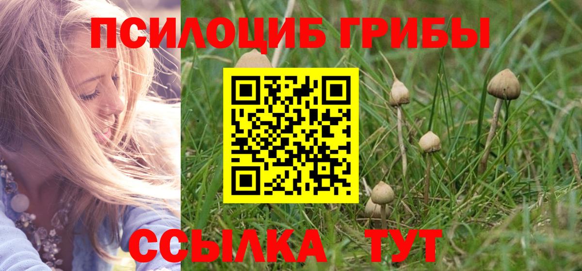 Псилоцибиновые грибы GOLDEN TEACHER  Галлюциногенные грибы прущие грибы  Вход с VPN  Клинцы 